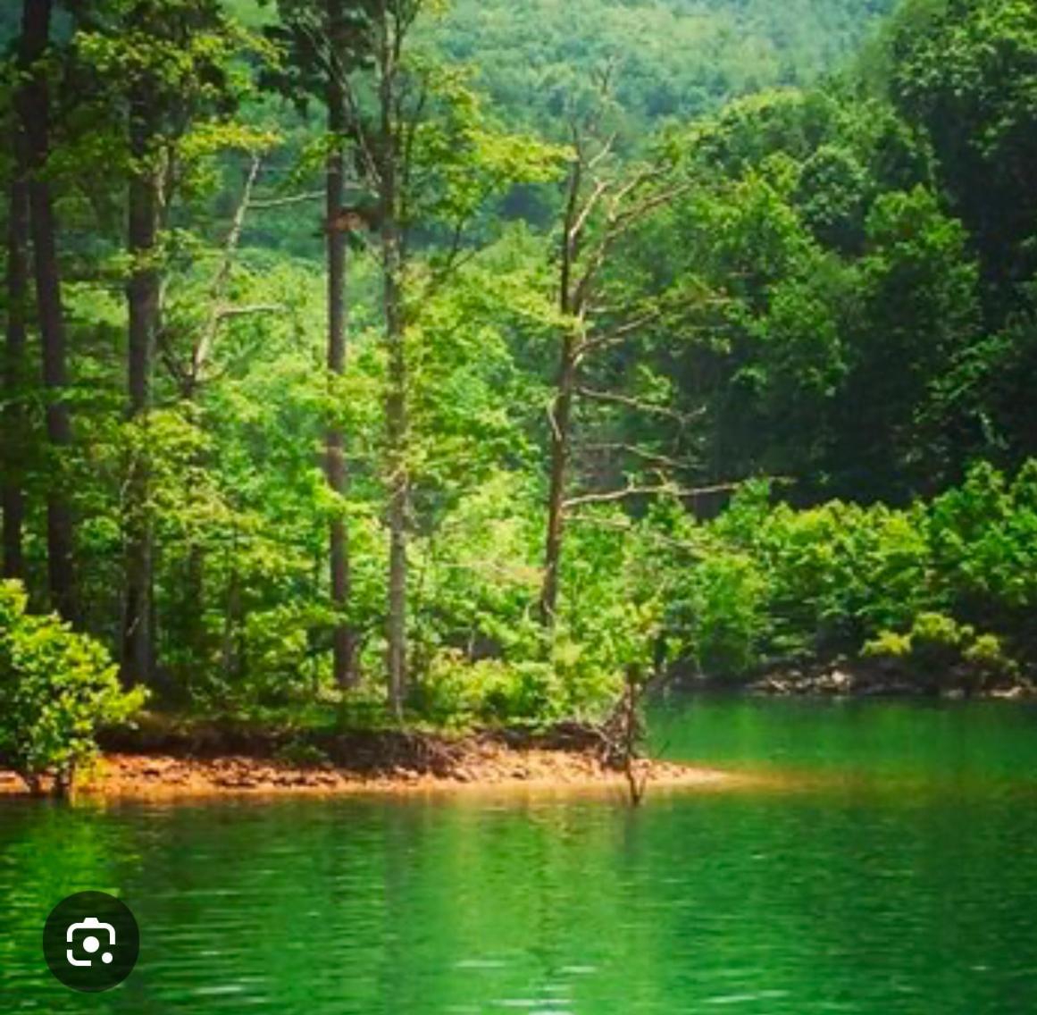 Monarch Mountain Cabins Cabin A Tennessee Thyme Elizabethton Екстер'єр фото
