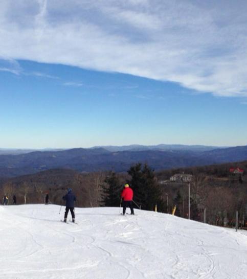 Monarch Mountain Cabins Cabin A Tennessee Thyme Elizabethton Екстер'єр фото